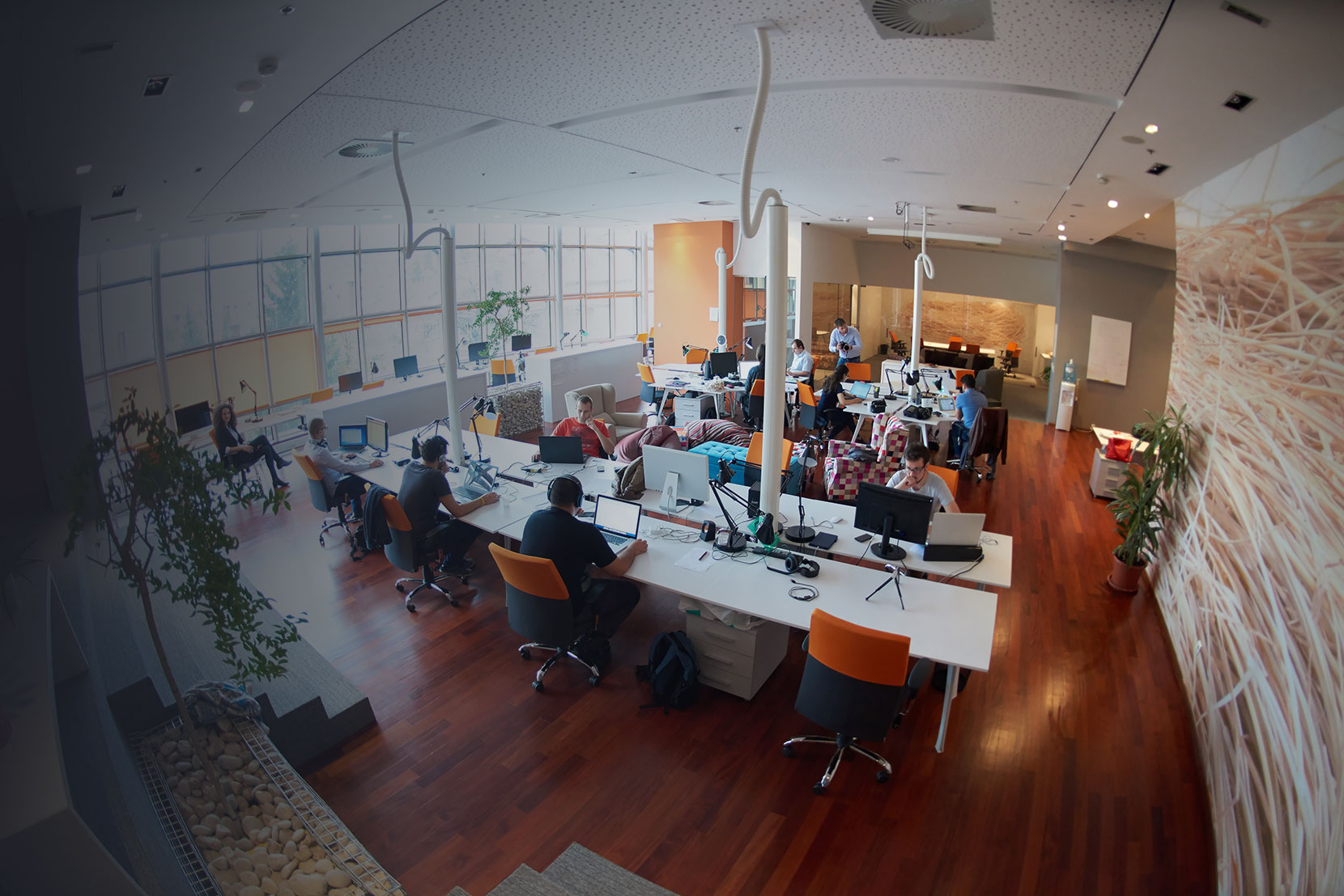 Full-Stack Web and Mobile App Development by DevNoxx